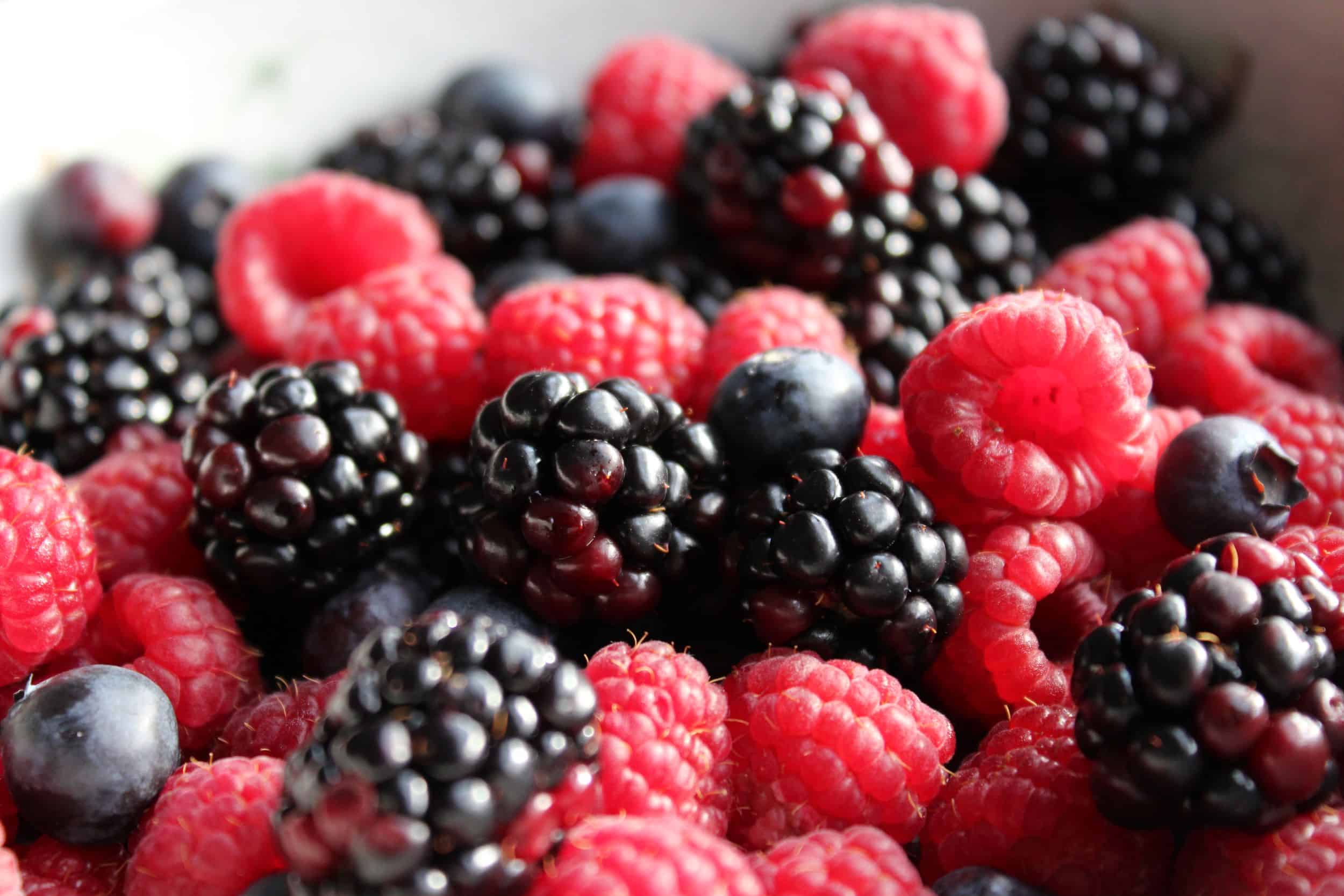 Berry Quinoa Salad with Honey Lemon Dressing - Juggling with Julia